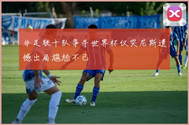 非足联十队争夺世界杯仅突尼斯遗憾出局尴尬不已