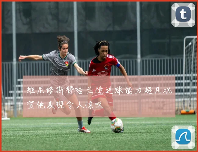 维尼修斯赞哈兰德进球能力超凡祝贺他表现令人惊叹