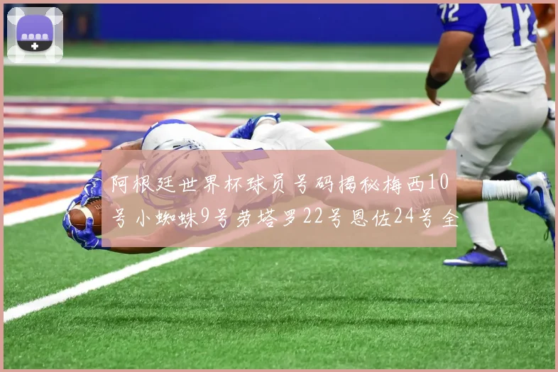 阿根廷世界杯球员号码揭秘梅西10号小蜘蛛9号劳塔罗22号恩佐24号全解析